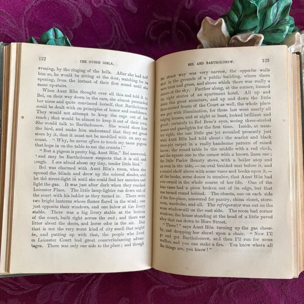 1894 The Other Girls by Mrs. A. D. T. Whitney, Victorian Women’s Antique Fiction